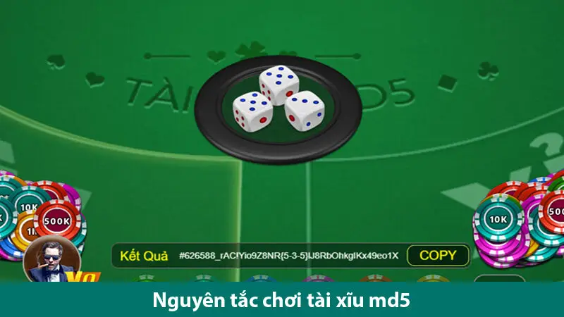 Chia sẻ cách chơi Tài xỉu MD5 hiệu quả trên các web cá cược trực tuyến